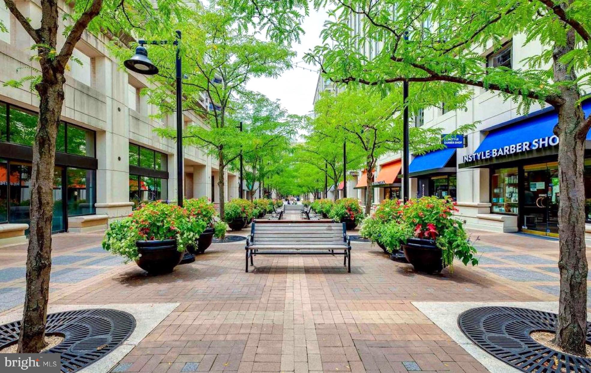 4635 20th Road North, Unit A Arlington, VA 22207 - Photo 3 of 12