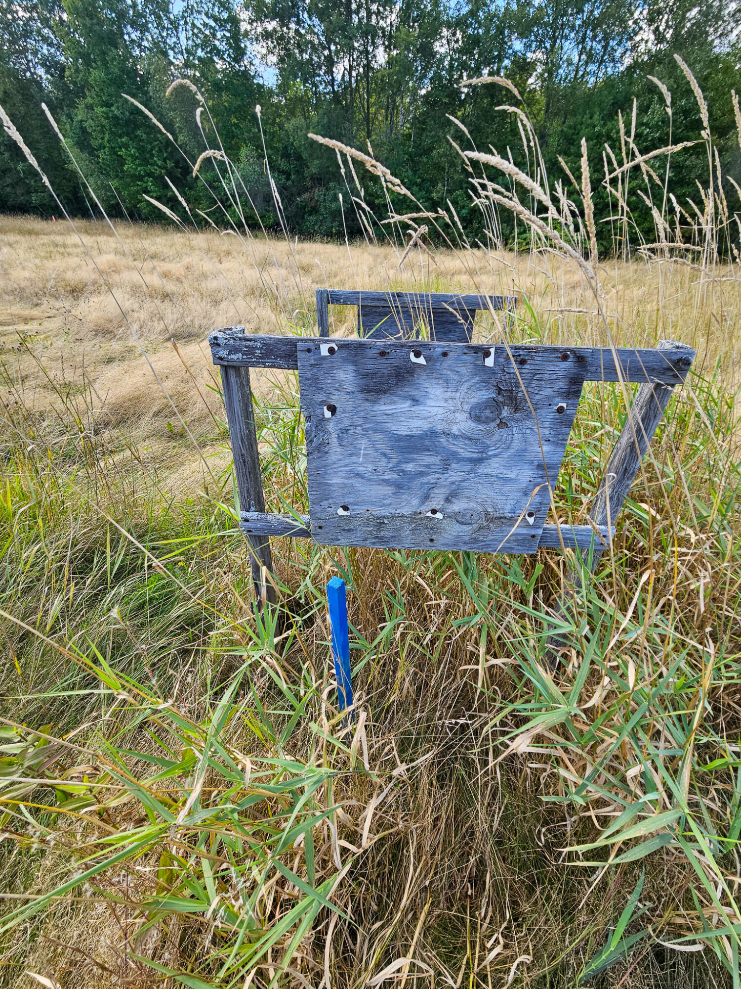 2 & 4 Wilton Me 04294 Wilton, ME 04294 - Photo 15 of 15 20250911_152624