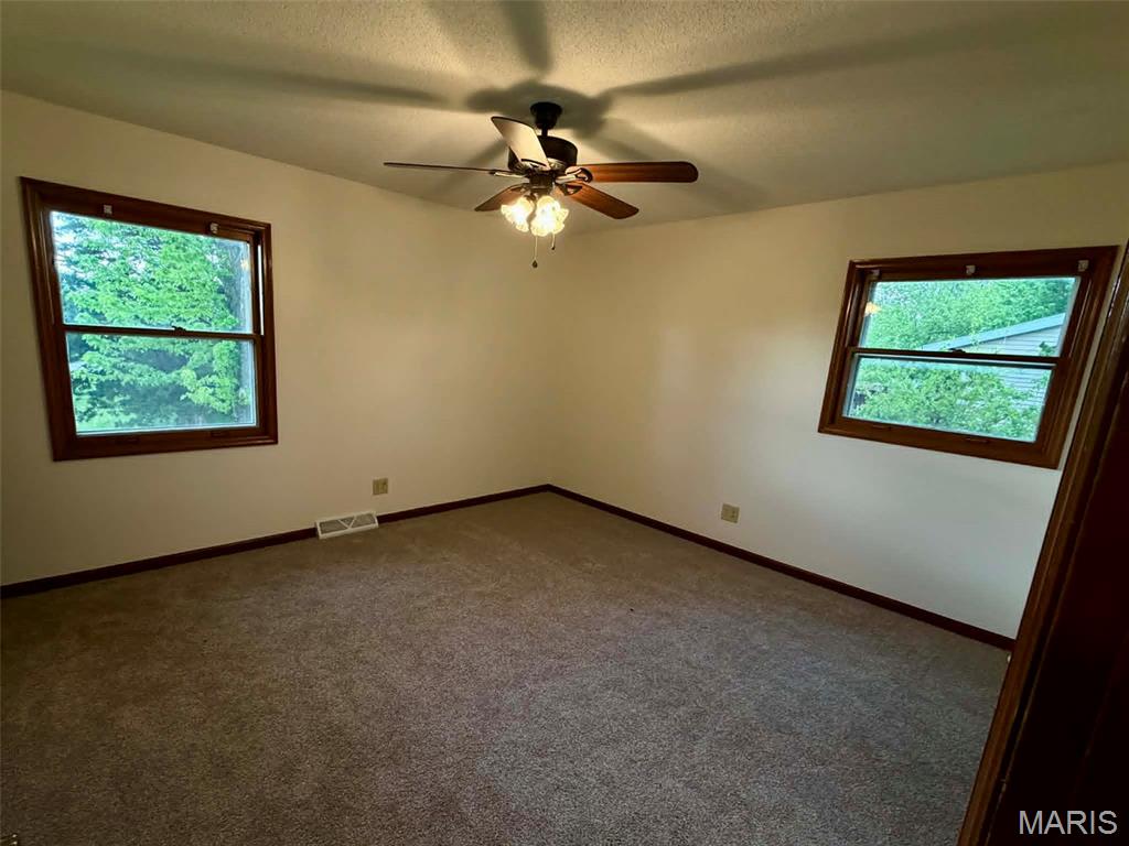 4508 West Ely Road Hannibal, MO 63401 - Photo 11 of 25