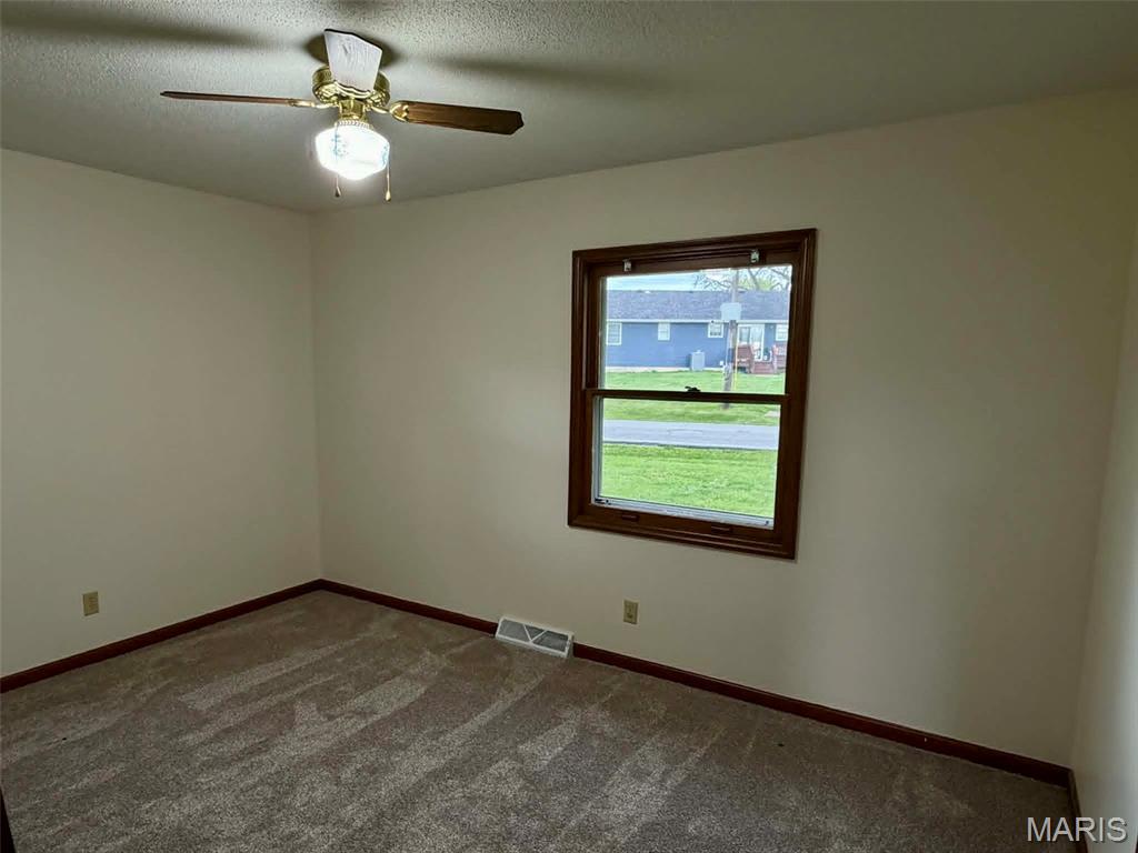4508 West Ely Road Hannibal, MO 63401 - Photo 9 of 25