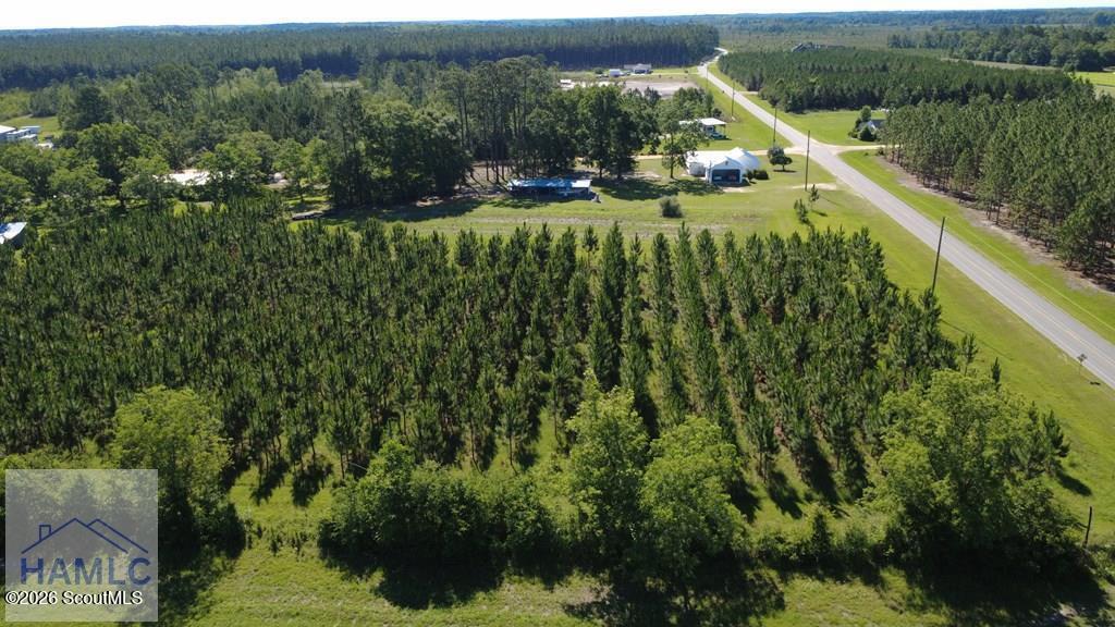 19 Old Buie Road Odum, GA 31555 - Photo 6 of 35