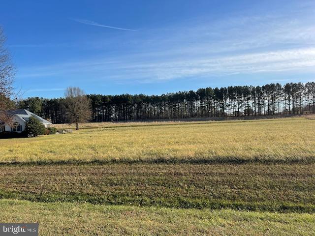 Lot 17 Hagy Road Rock Hall, MD 21661 - Photo 5 of 14 Gallery Image 5
