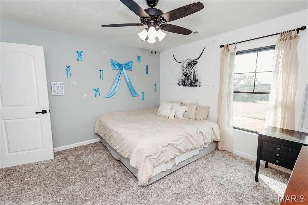 14946 Colorado Road Dixon, MO 65459 - Photo 48 of 95