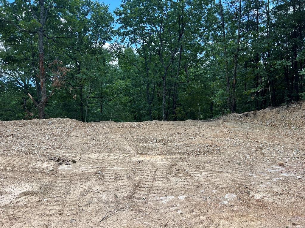 861 Lloyd Huskey Road Pigeon Forge, TN 37863 - Photo 8 of 9
