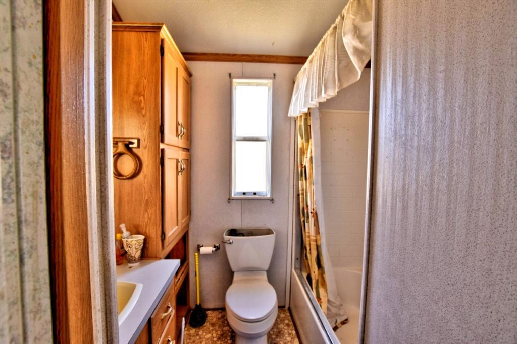 631 Murphy Road Como, CO 80432 - Photo 8 of 21 a bathroom with a toilet a sink and a shower curtain