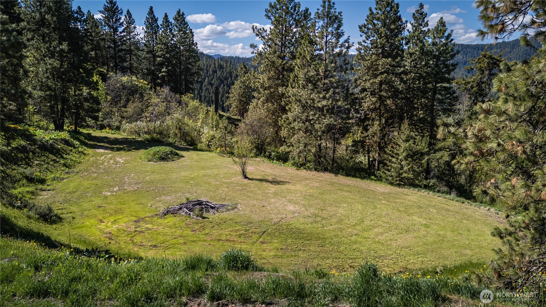 0 Sky Meadows Road Cashmere, WA 98815 - Photo 14 of 40 a view of a yard with an outdoor space