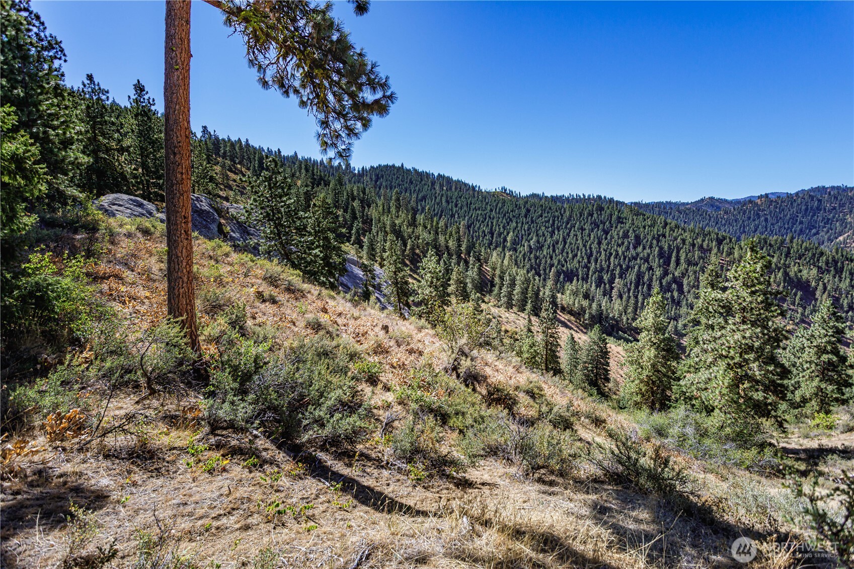 0 Sky Meadows Road Cashmere, WA 98815 - Photo 20 of 40 a view of a forest with a mountain in the background