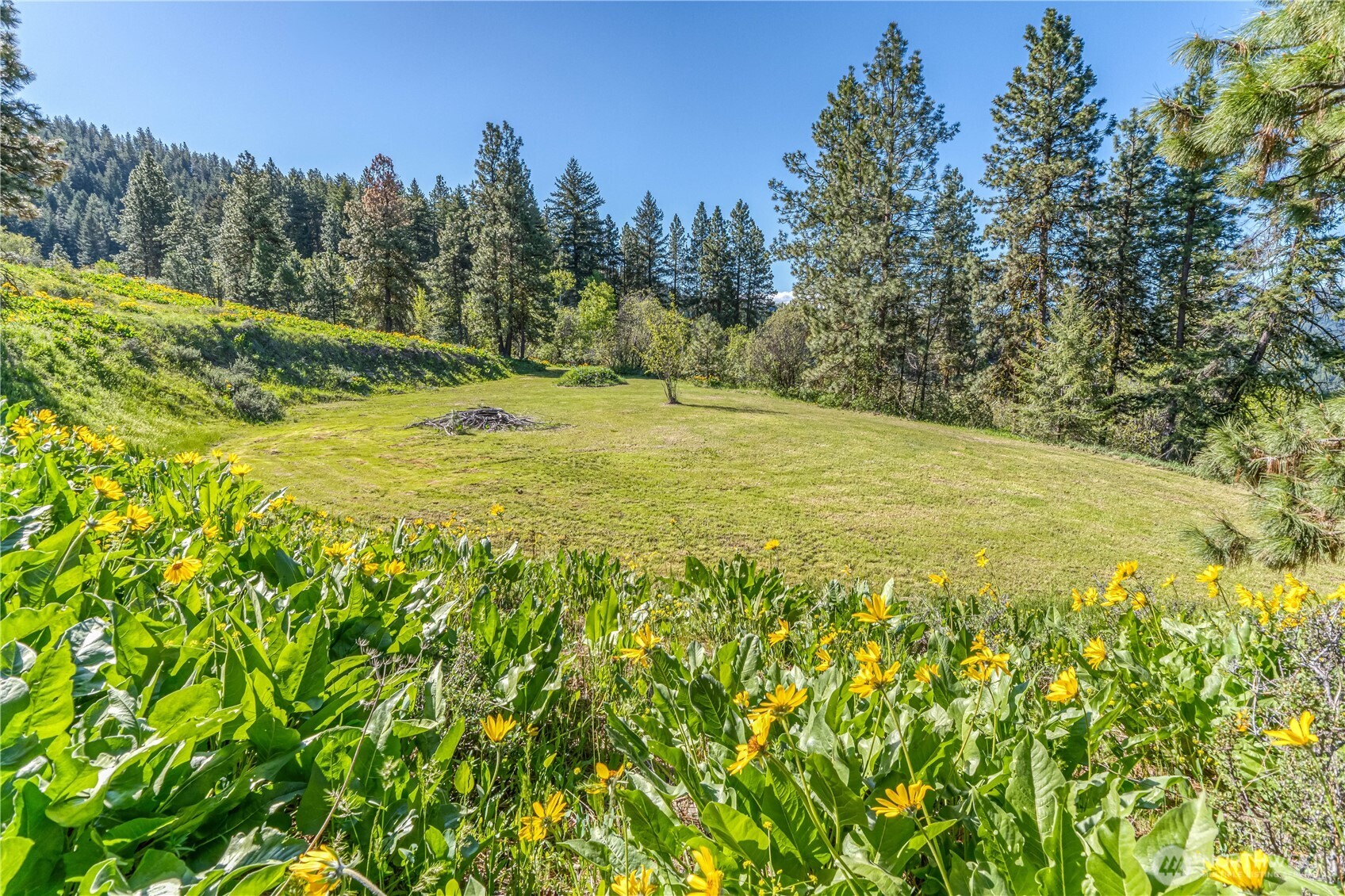 0 Sky Meadows Road Cashmere, WA 98815 - Photo 2 of 40 a view of a yard with an trees