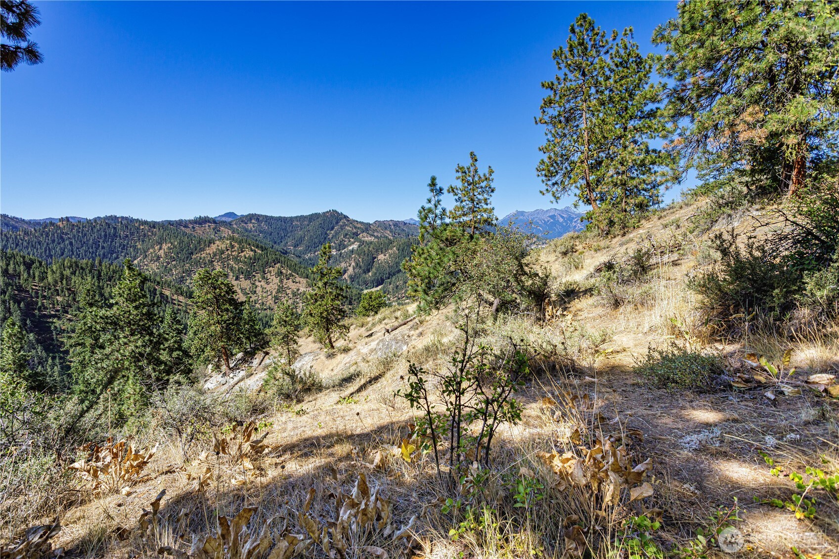 0 Sky Meadows Road Cashmere, WA 98815 - Photo 25 of 40 a view of a yard
