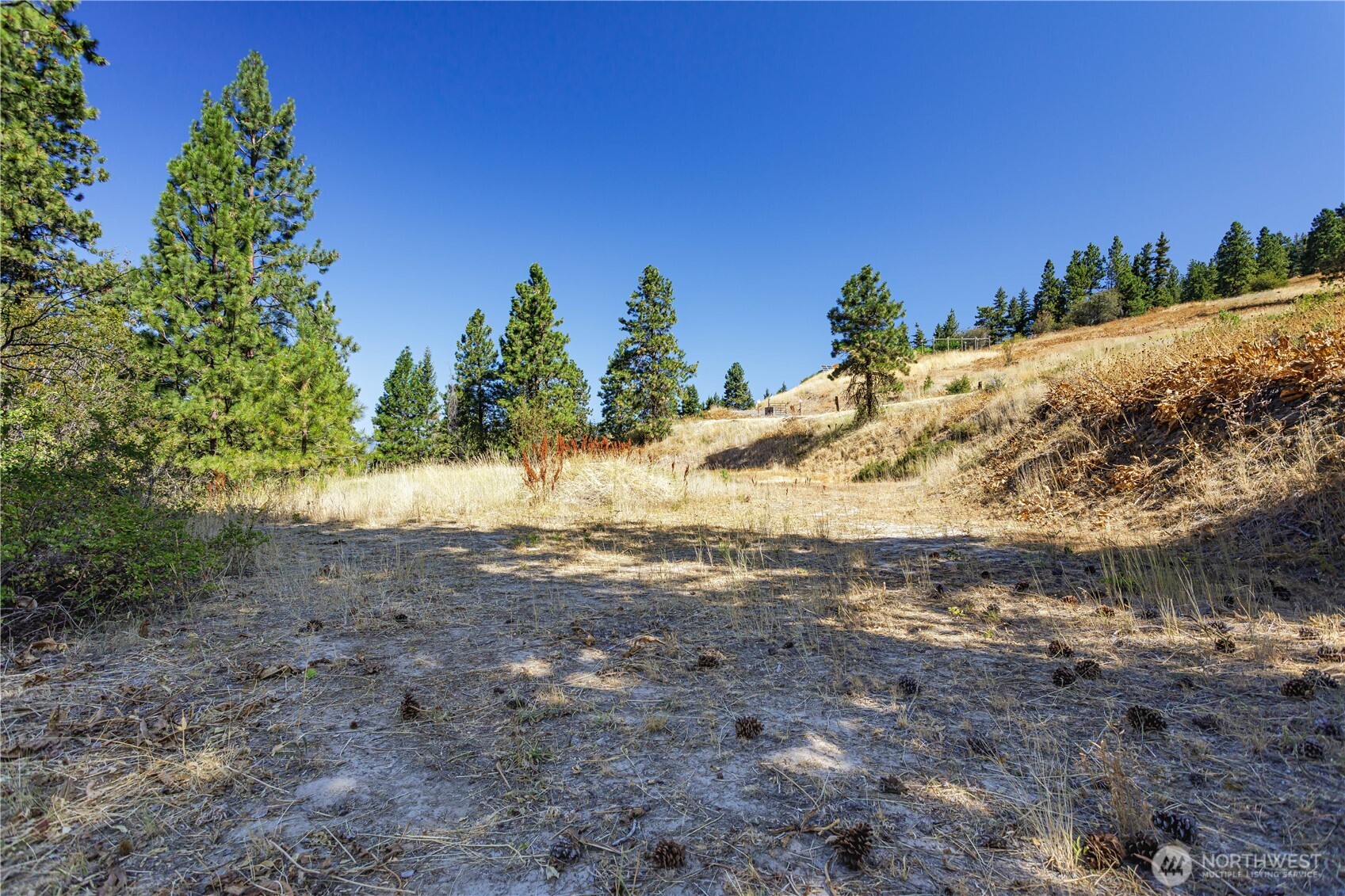 0 Sky Meadows Road Cashmere, WA 98815 - Photo 28 of 40 a view of a yard with a tree