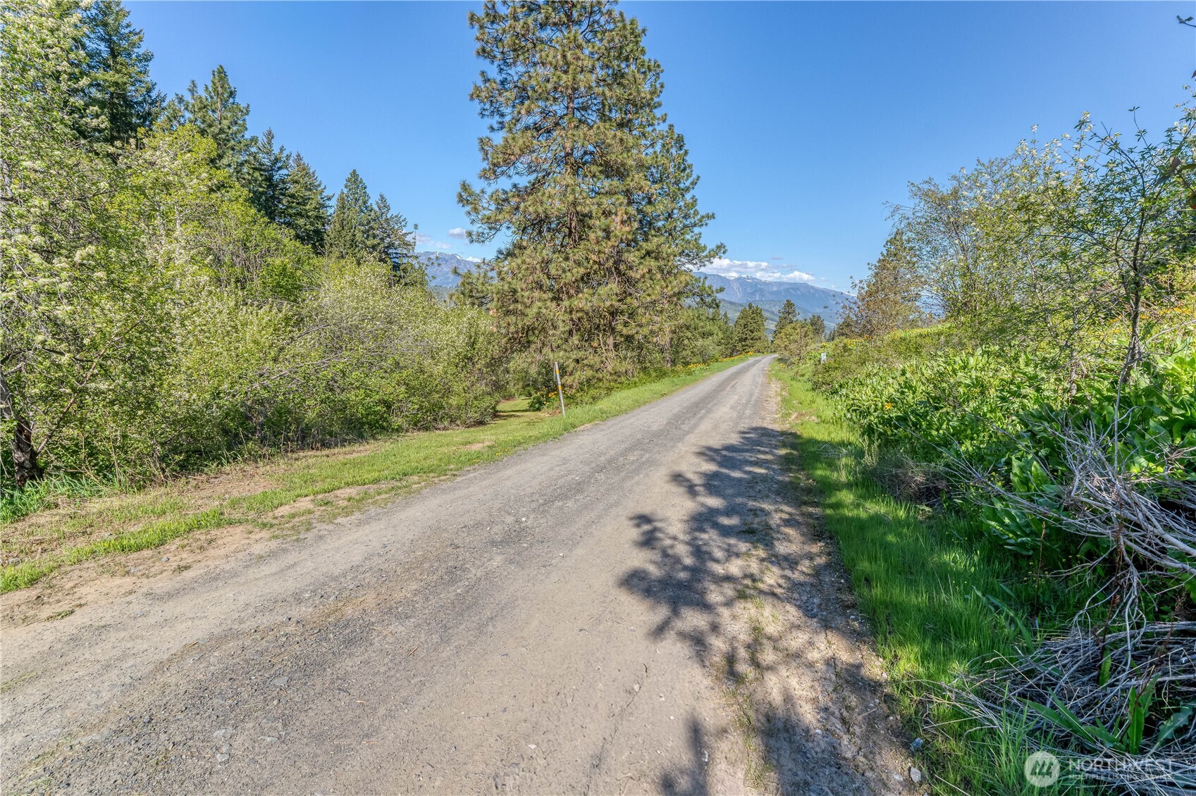 0 Sky Meadows Road Cashmere, WA 98815 - Photo 3 of 40 a view of a road with a yard
