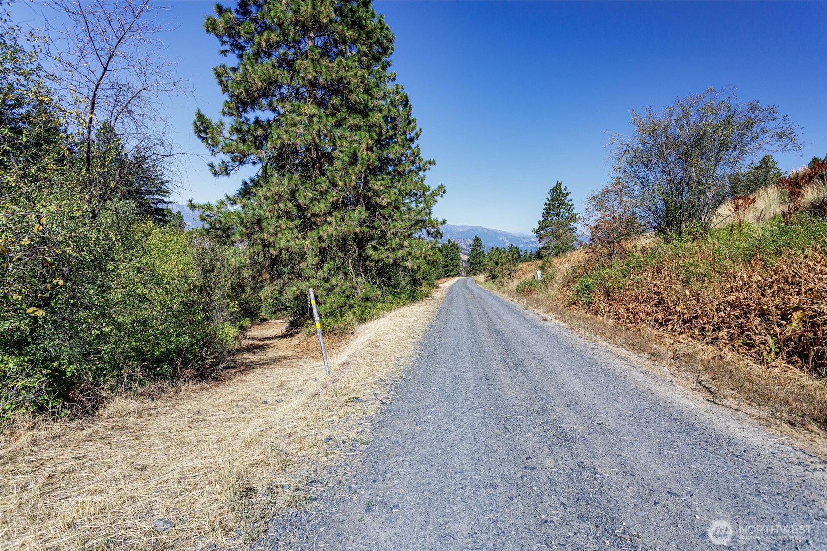 0 Sky Meadows Road Cashmere, WA 98815 - Photo 32 of 40 a view of a road with plants and trees