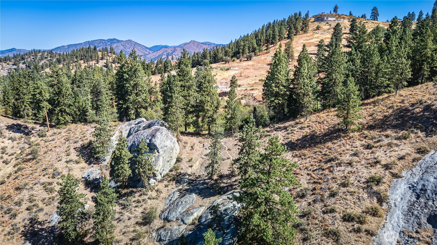 0 Sky Meadows Road Cashmere, WA 98815 - Photo 35 of 40 a view of a forest with a mountain in the background