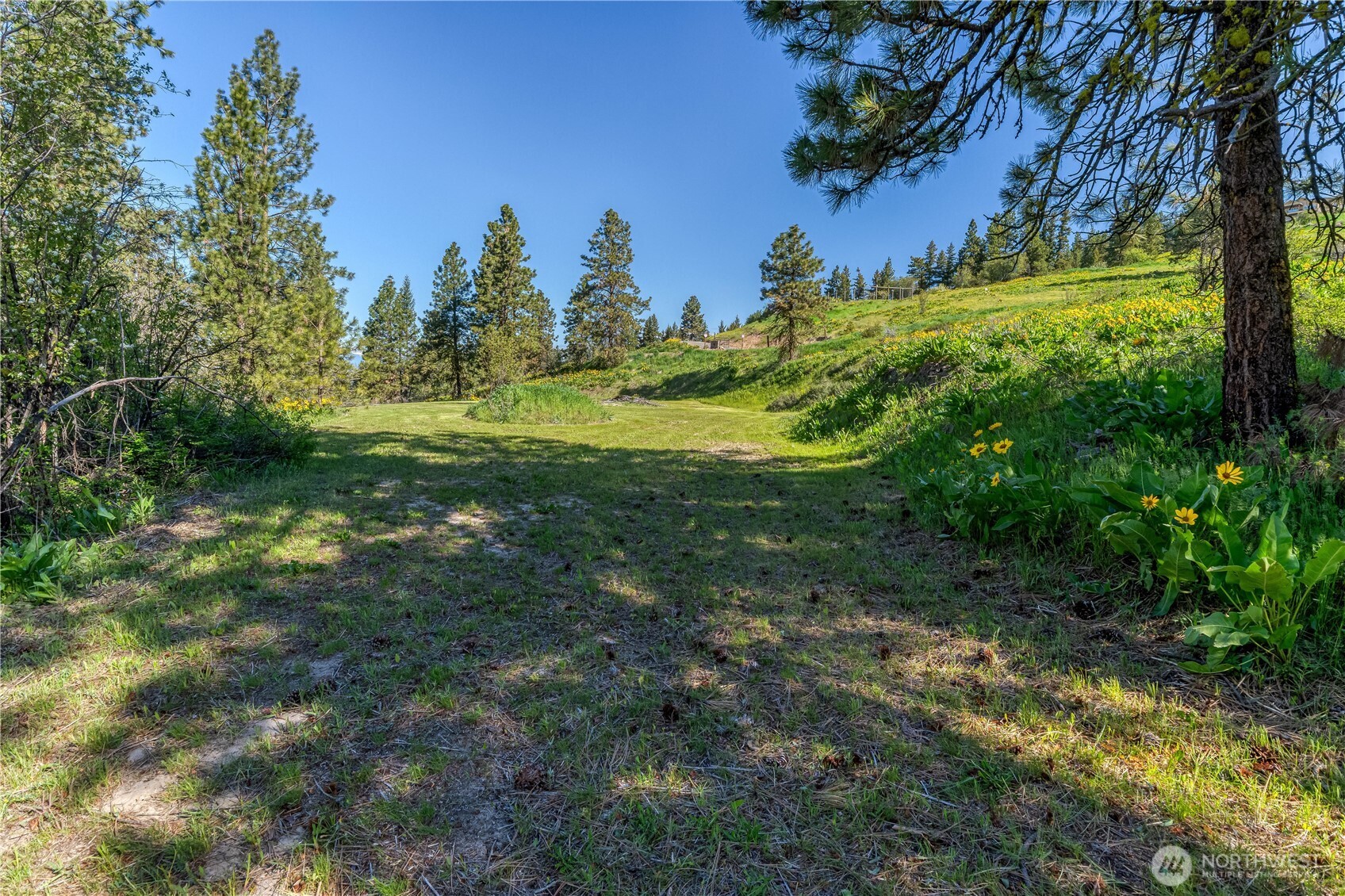 0 Sky Meadows Road Cashmere, WA 98815 - Photo 5 of 40 a view of a trees with a yard