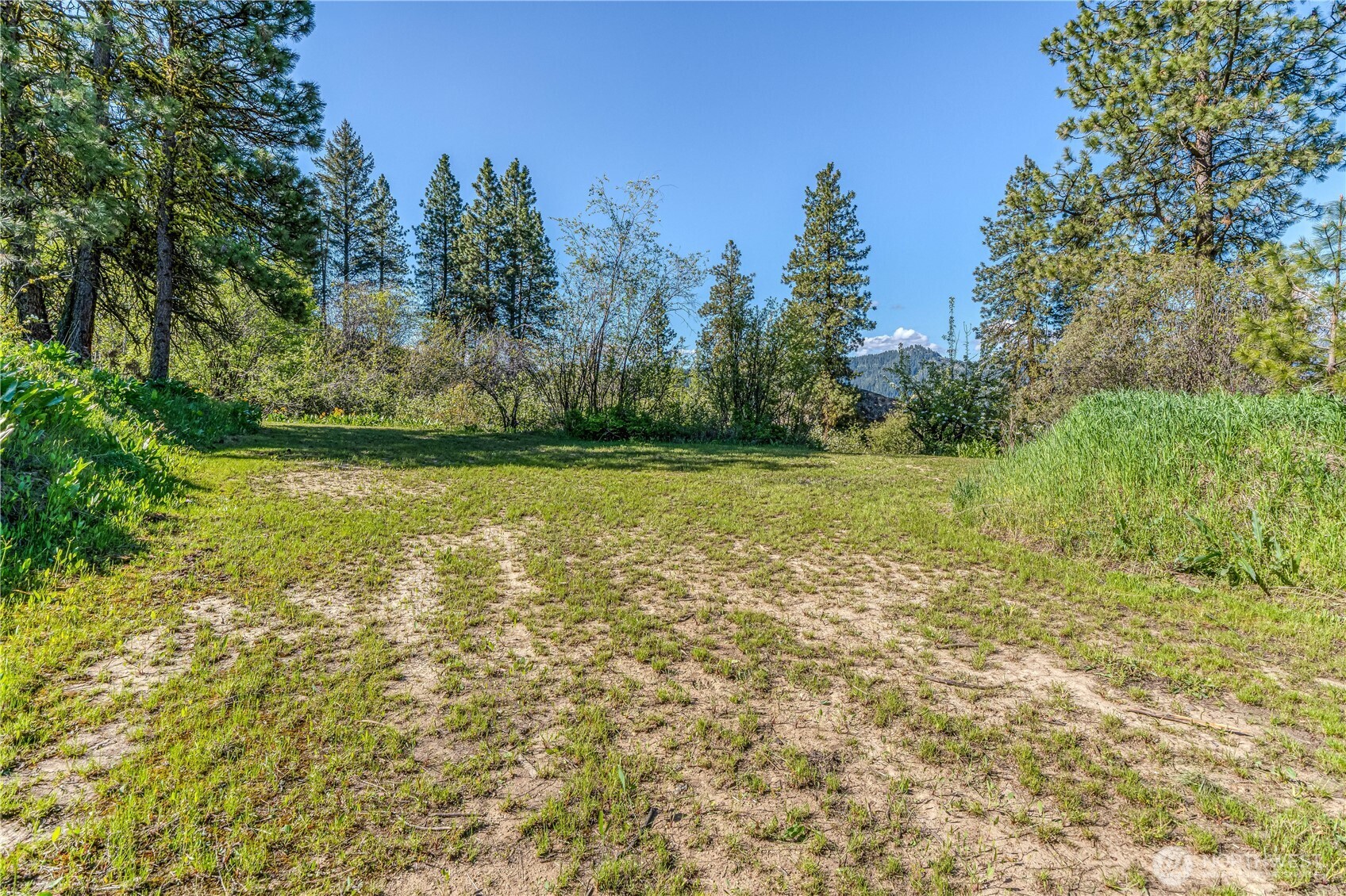 0 Sky Meadows Road Cashmere, WA 98815 - Photo 6 of 40 a view of a field with an outdoor space