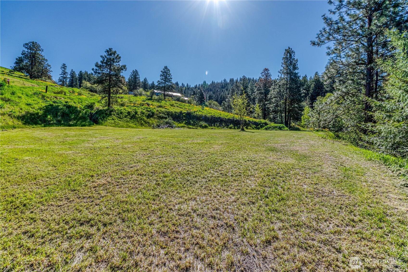 0 Sky Meadows Road Cashmere, WA 98815 - Photo 7 of 40 a view of a large yard with lots of green space
