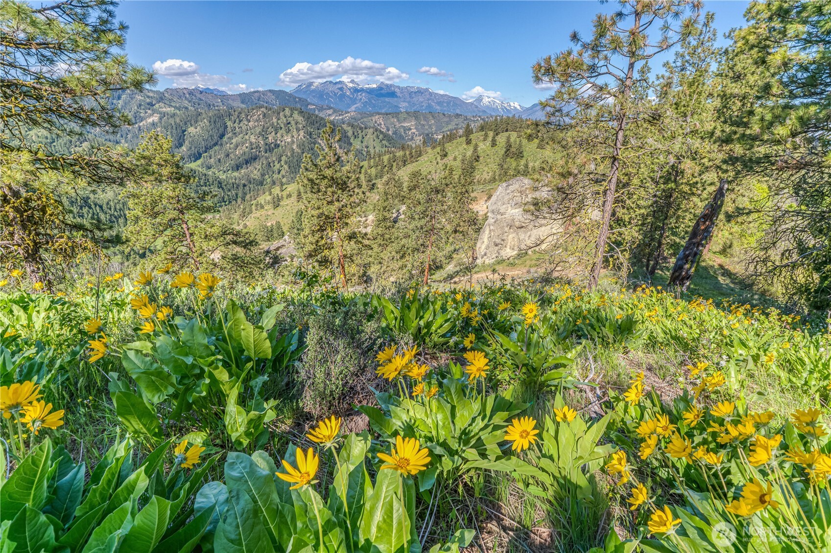 0 Sky Meadows Road Cashmere, WA 98815 - Photo 9 of 40