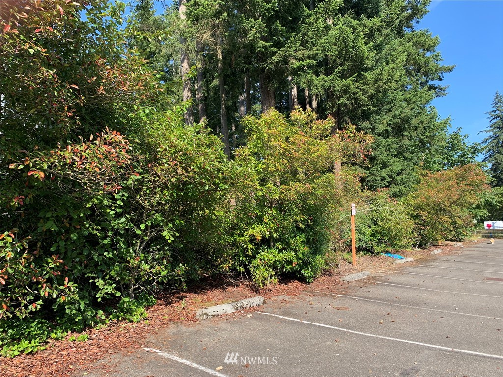 170 Southeast Wax Road Covington, WA 98042 - Photo 3 of 6