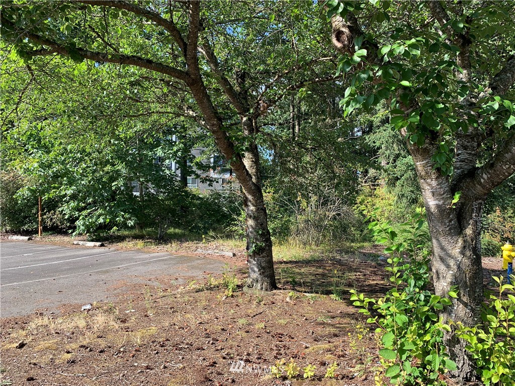 170 Southeast Wax Road Covington, WA 98042 - Photo 4 of 6