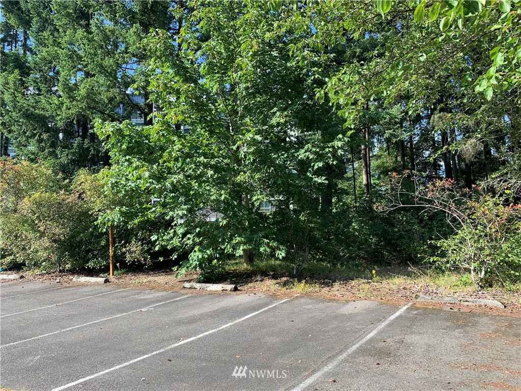 170 Southeast Wax Road Covington, WA 98042 - Photo 5 of 6