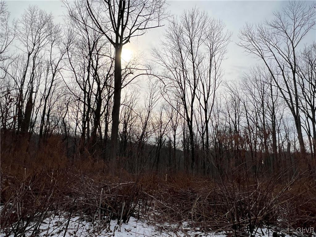Buttermilk Road Hellertown, PA 18055 - Photo 2 of 5 a view of outdoor space and yard