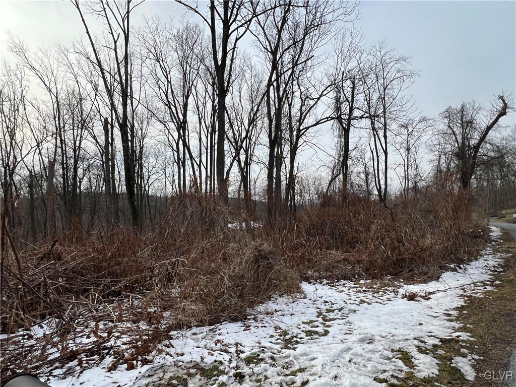 Buttermilk Road Hellertown, PA 18055 - Photo 3 of 5 a view of backyard with green space