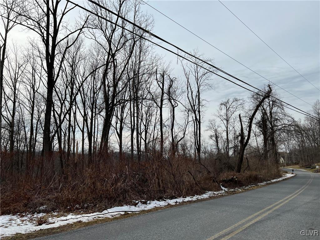 Buttermilk Road Hellertown, PA 18055 - Photo 4 of 5