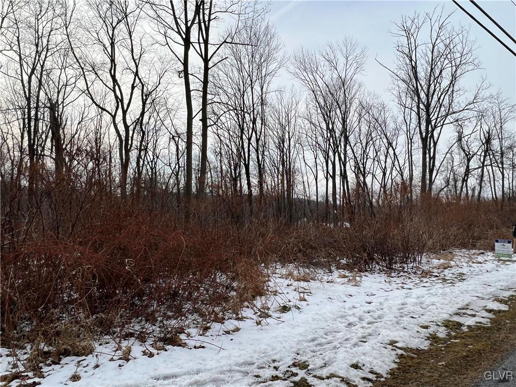 Buttermilk Road Hellertown, PA 18055 - Photo 5 of 5 a view of backyard and trees