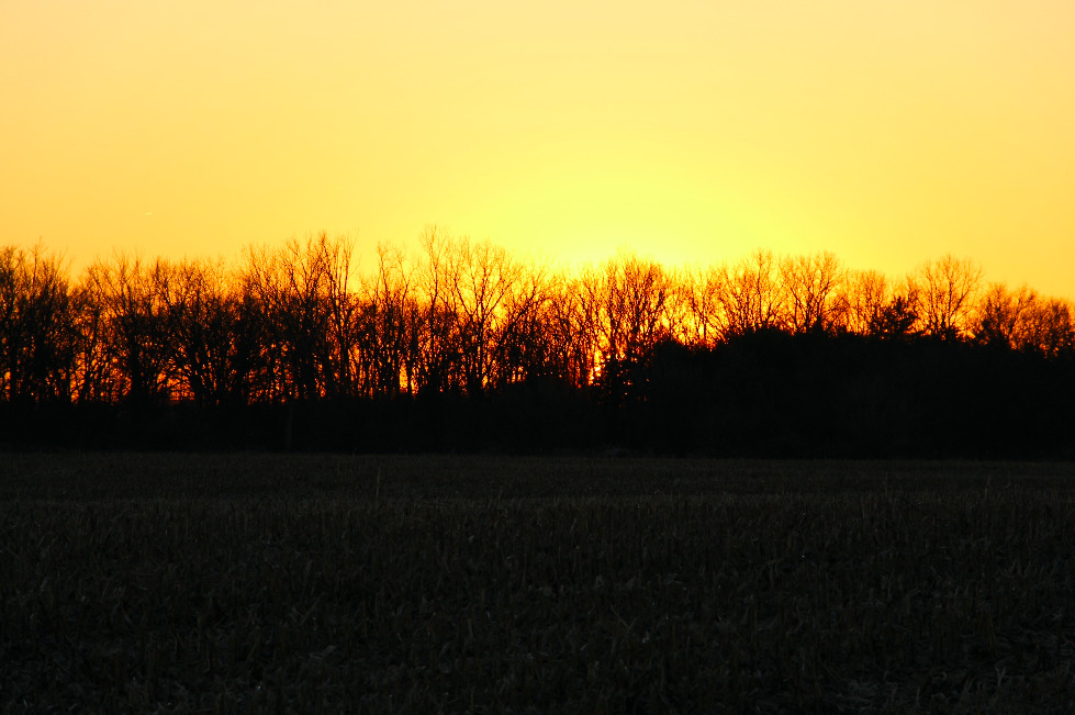 0 Cooper Road Wilmington, IL 60481 - Photo 31 of 38 Gallery Image 31