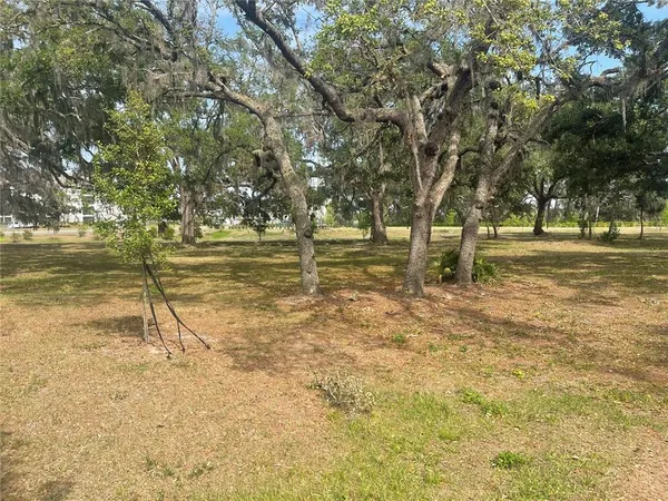 a view of yard with trees