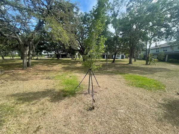 a view of backyard with green space
