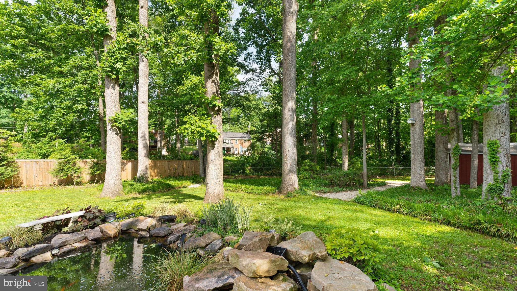 7204 Catlett Street Springfield, VA 22151 - Photo 49 of 65