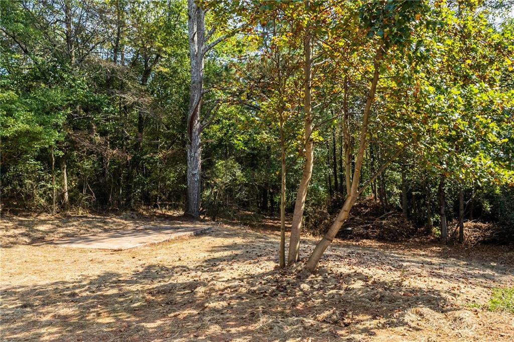 1265 Horsley Mill Road Carrollton, GA 30116 - Photo 23 of 31 a view of a tree in the middle of a yard