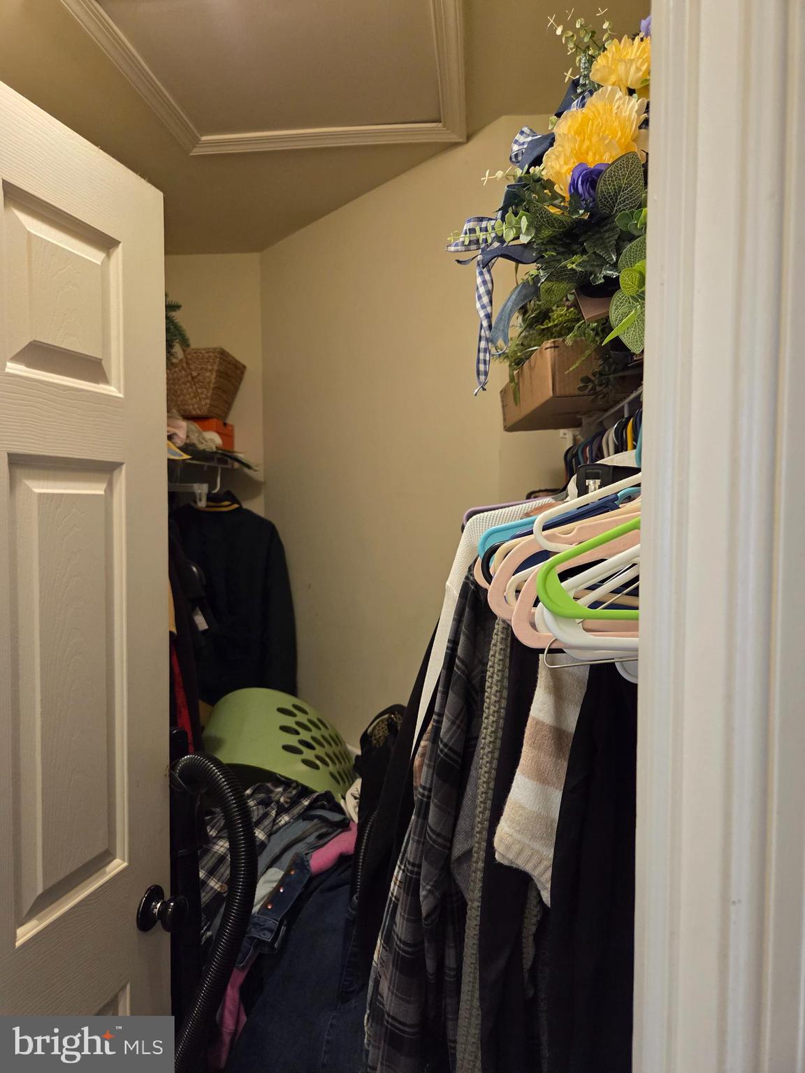 119 Burgundy Lane Coatesville, PA 19320 - Photo 20 of 35 Large walk in closet in primary bedroom