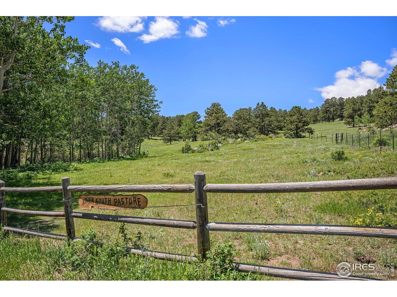 147 St Vrain Trail Ward, CO 80481 - Photo 27 of 31 a view of a yard with a big yard