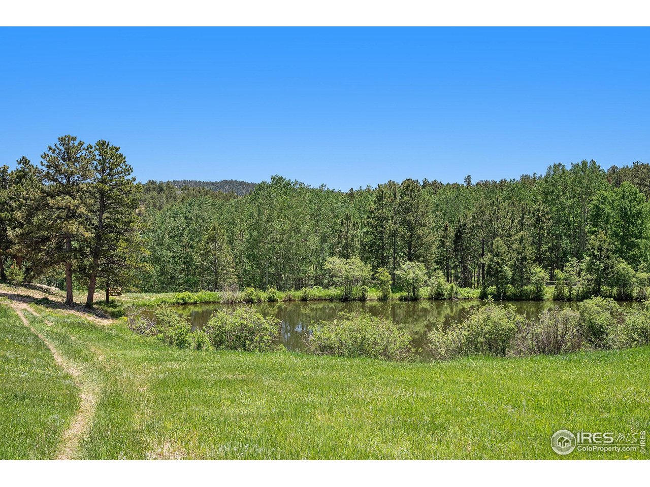 147 St Vrain Trail Ward, CO 80481 - Photo 28 of 31 a view of a lush green space