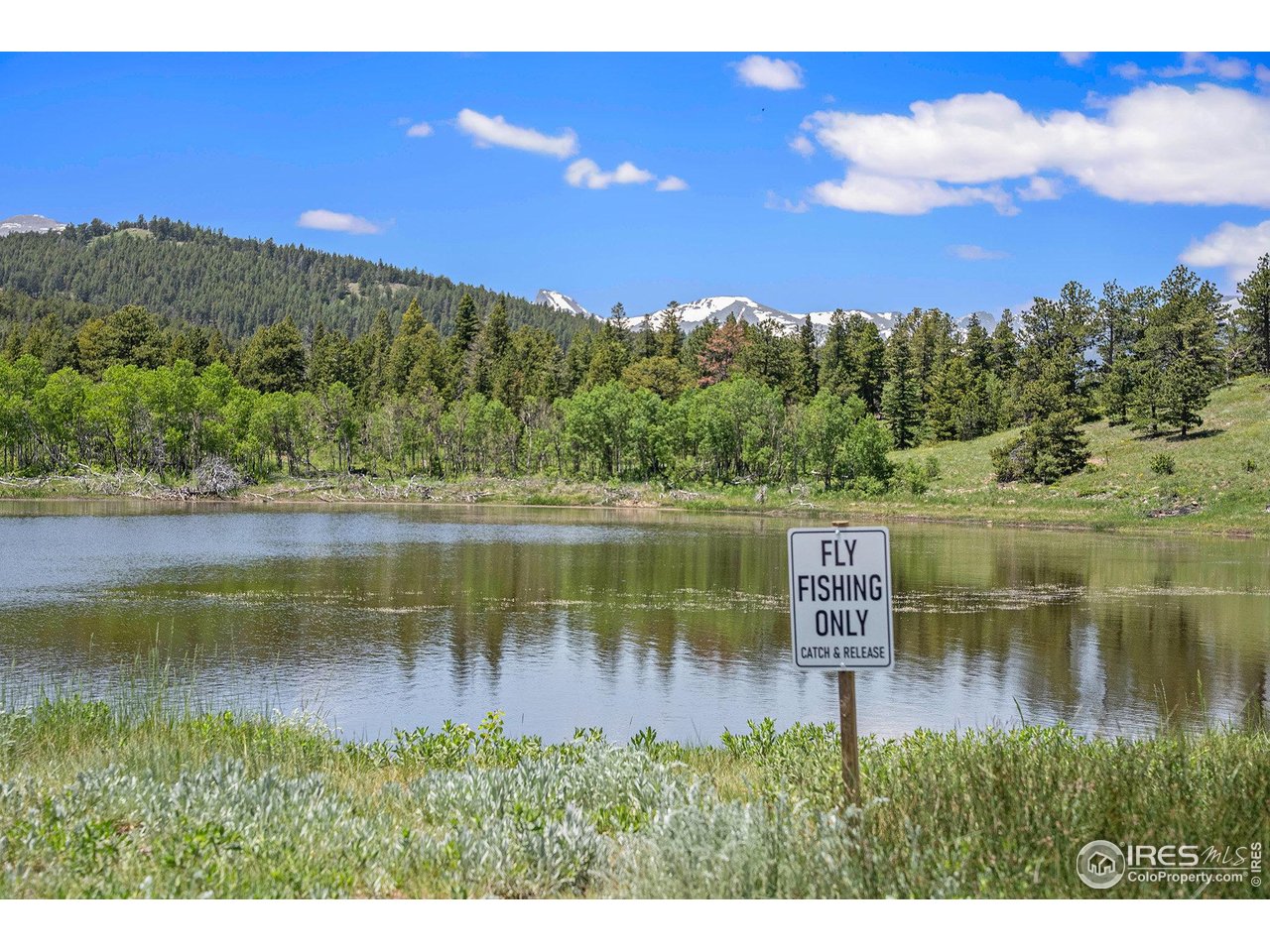 147 St Vrain Trail Ward, CO 80481 - Photo 30 of 31 a view of a lake with a yard