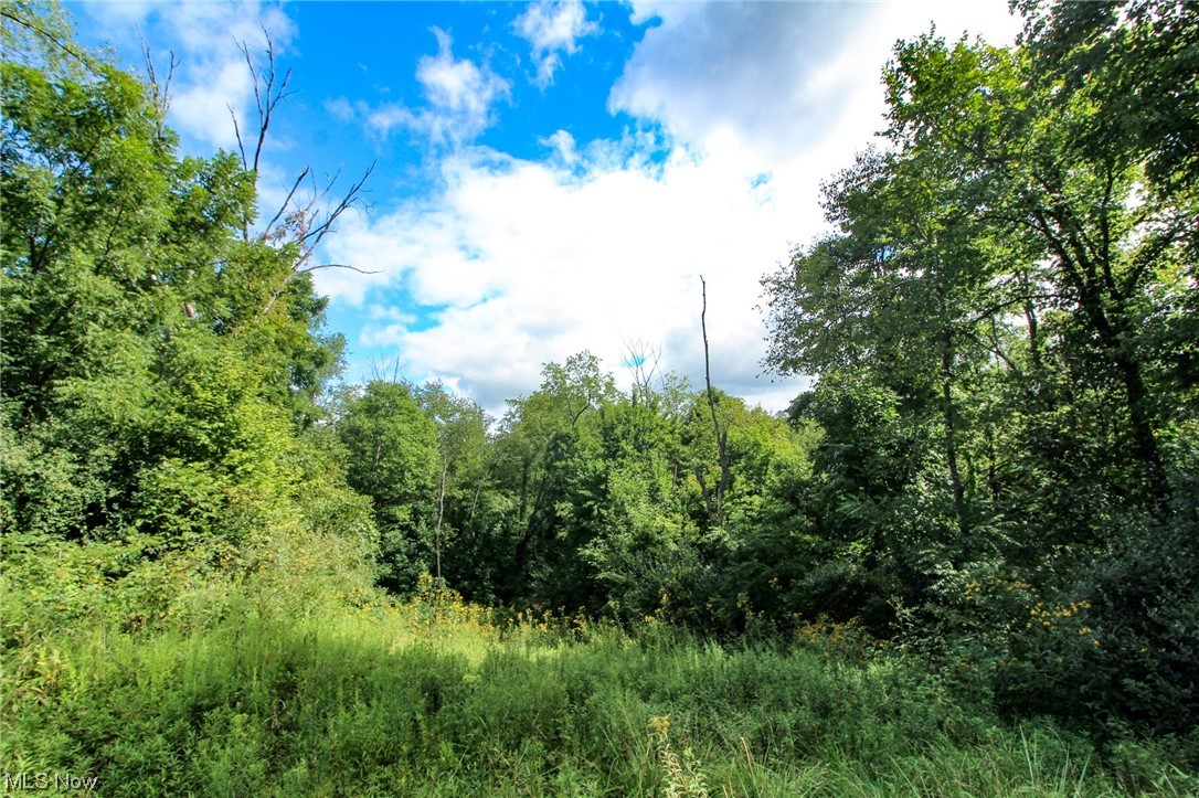 Dump Road Cadiz, OH 43907 - Photo 13 of 19 View of mother earth's splendor