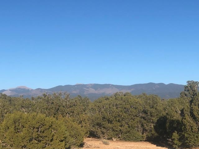 12 Green Meadow Loop Santa Fe, NM 87506 - Photo 1 of 1