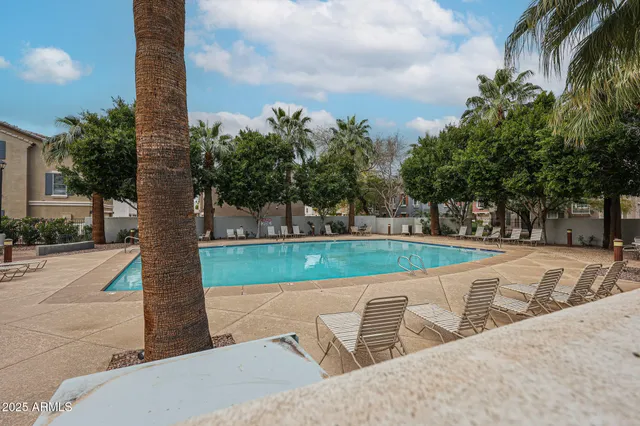 a view of a yard with plants