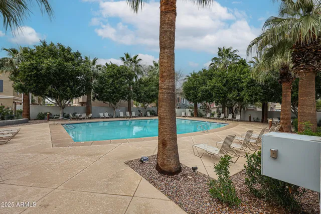 a view of a park with palm trees