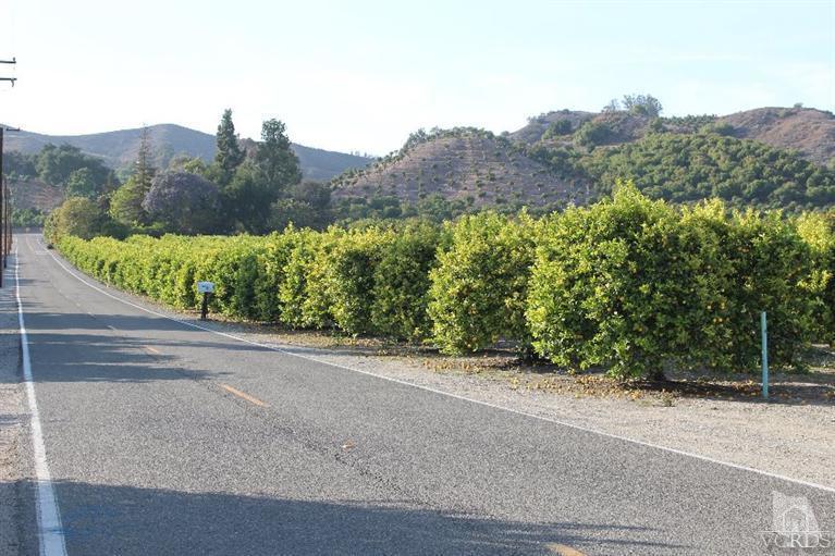 North Briggs Road Santa Paula, CA 93060 - Photo 12 of 15 Gallery Image 12