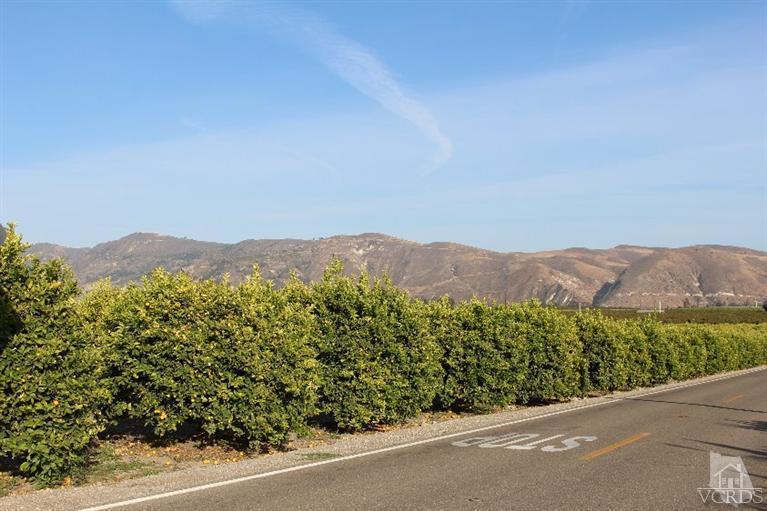 North Briggs Road Santa Paula, CA 93060 - Photo 13 of 15 Gallery Image 13