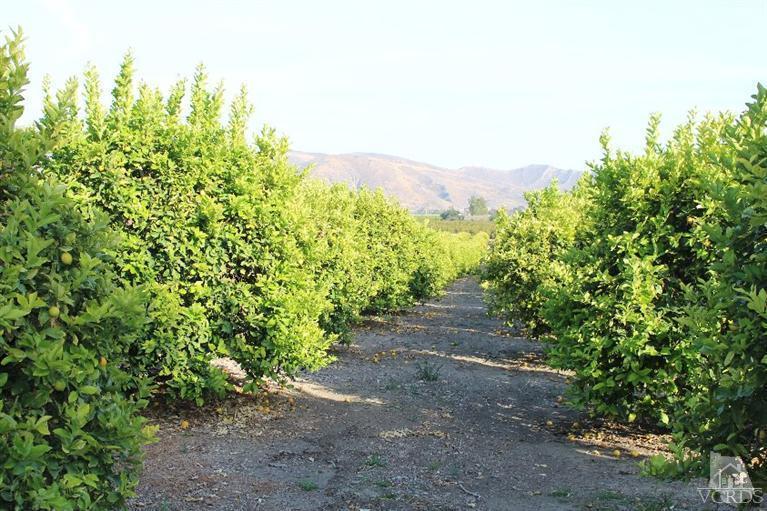 North Briggs Road Santa Paula, CA 93060 - Photo 14 of 15 Gallery Image 14