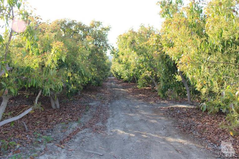 North Briggs Road Santa Paula, CA 93060 - Photo 9 of 15 Gallery Image 9