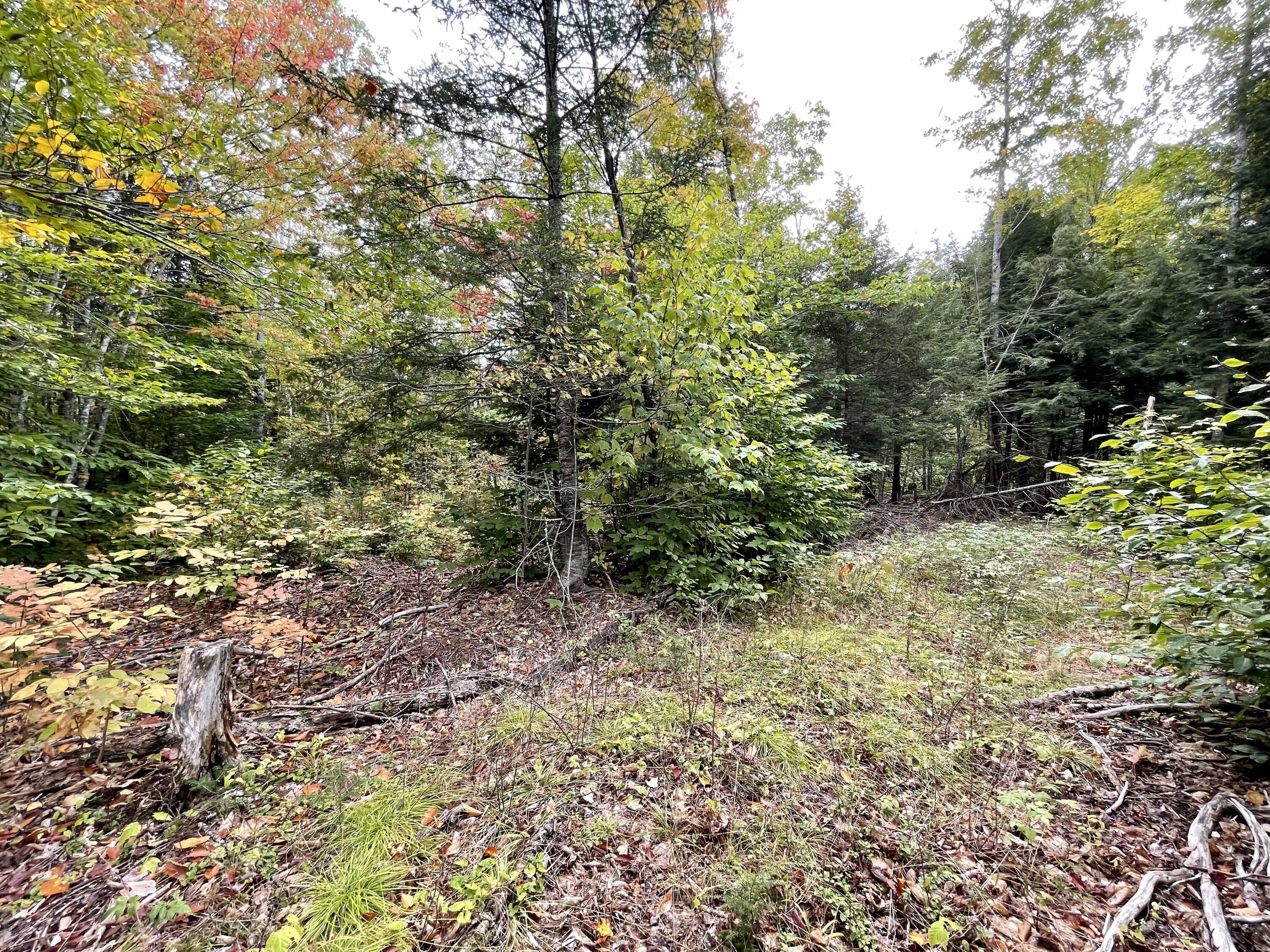 Lot 7 Ham Drive Springfield, ME 04487 - Photo 3 of 7 568A81F3-E6C2-4844-B2BA-670C29AD3A7F