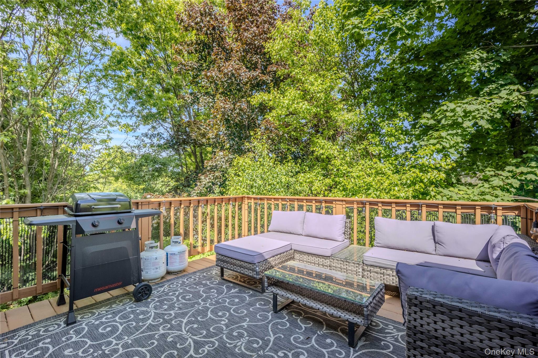 63 Spruce Ridge Drive Fishkill, NY 12524 - Photo 16 of 37