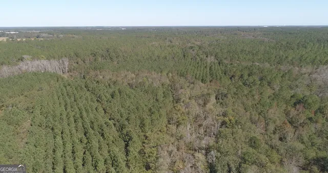 a view of a dry yard with trees