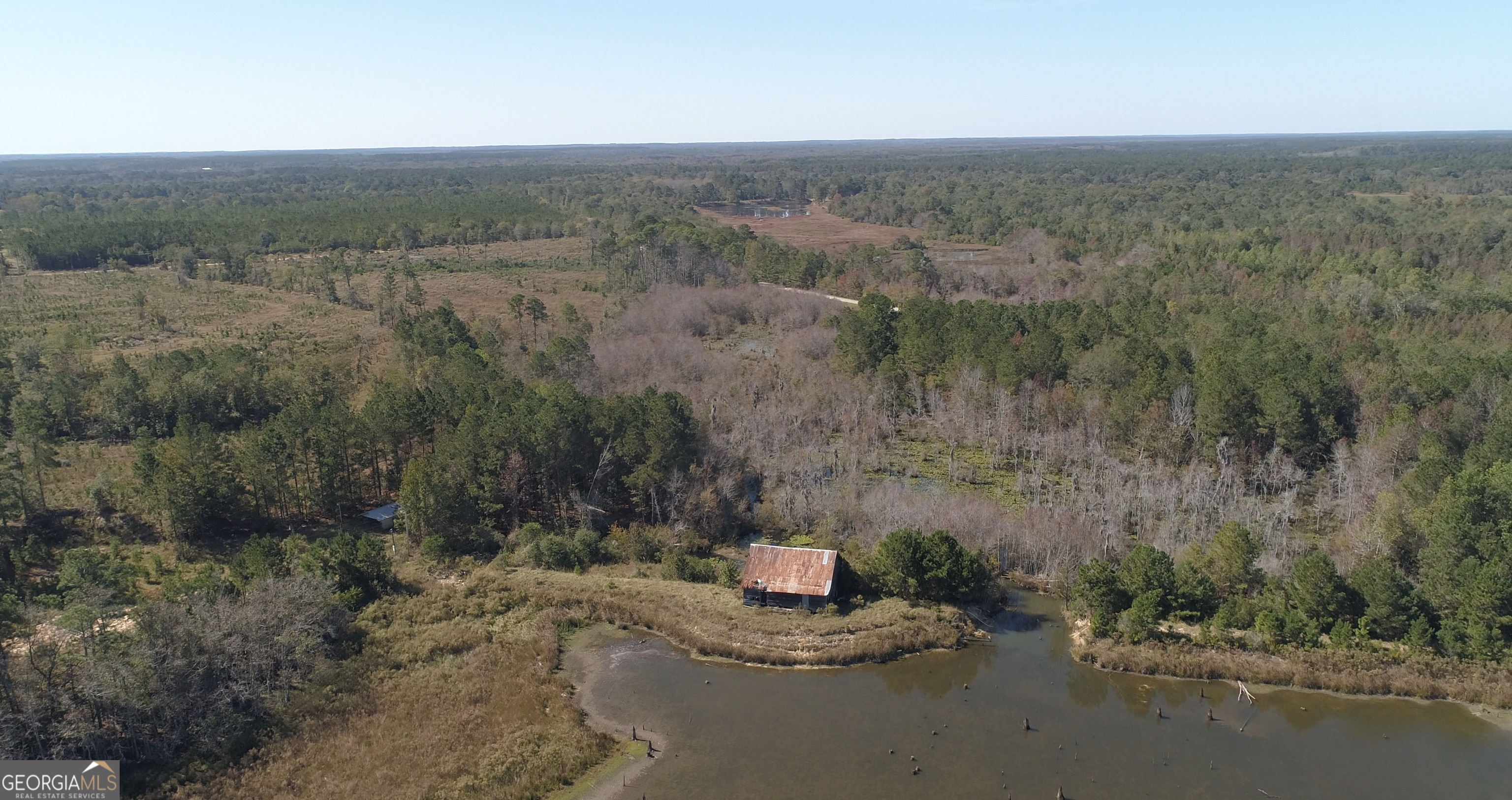 2202 Kennedy Bridge Road Register, GA 30452 - Photo 12 of 21 a view of a dry yard with trees