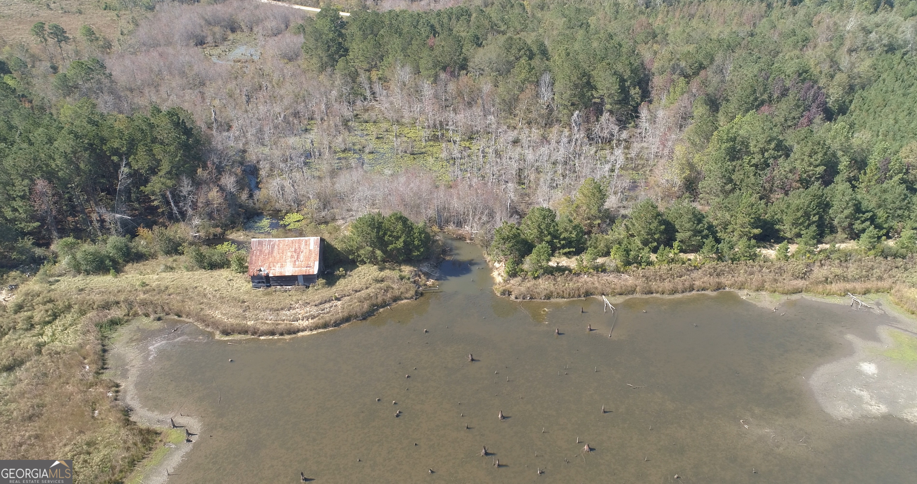 2202 Kennedy Bridge Road Register, GA 30452 - Photo 13 of 21 a view of a field with some trees in the background